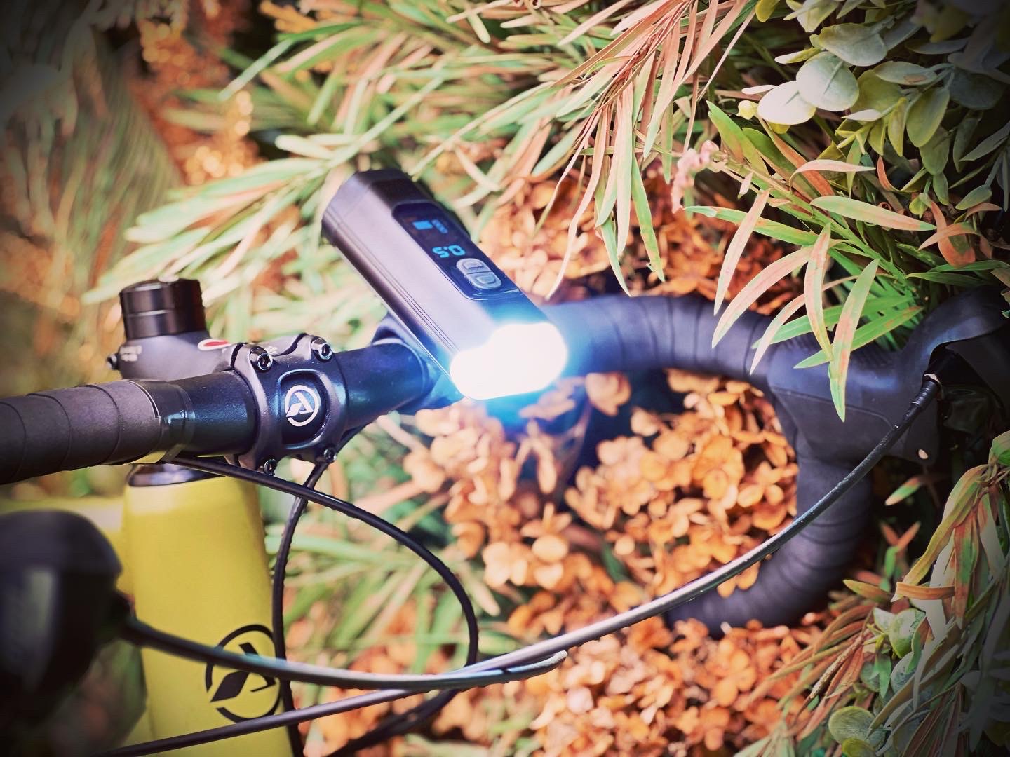 farol Absolute Prime 1600